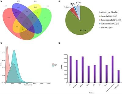 Third-Generation Sequencing Reveals LncRNA-Regulated HSP Genes in the Populus x canadensis Moench Heat Stress Response